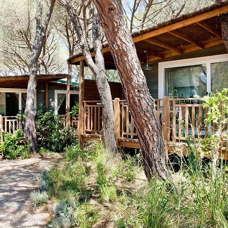 Maremma Sans Souci Kemp