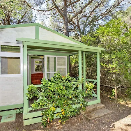 Kemp Maremma Sans Souci